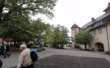 Gerichtslinde Schloss Heitersheim
