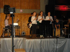 Bilder von der "musikalischen Weltreise" am 10. November 2013 in der Silberberghalle in Allmannsweier.